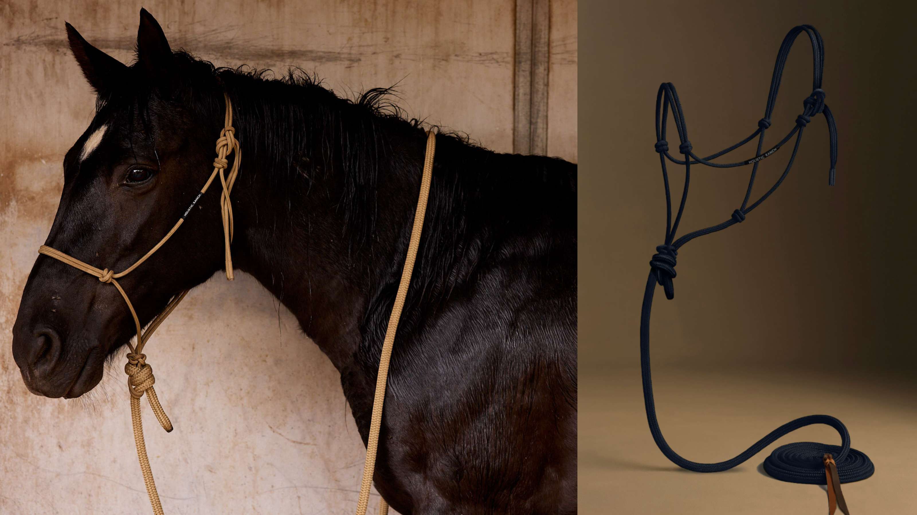 Horse wearing a rope halter with a close-up of a gold rope halter on a beige background