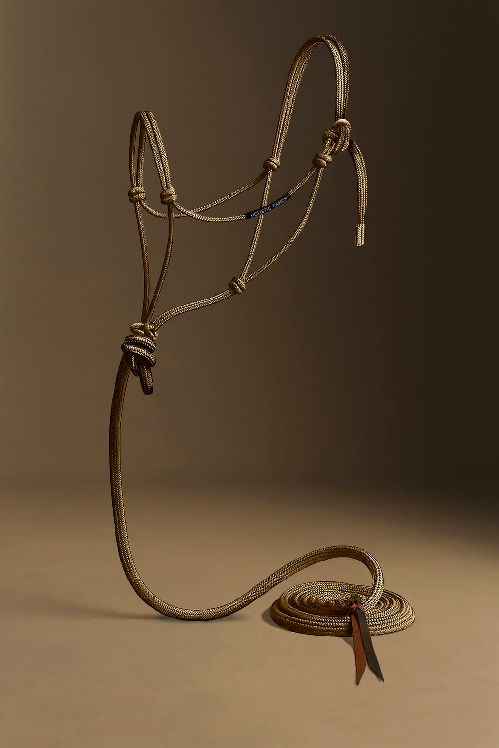 Gold Rope Halter and Lead
