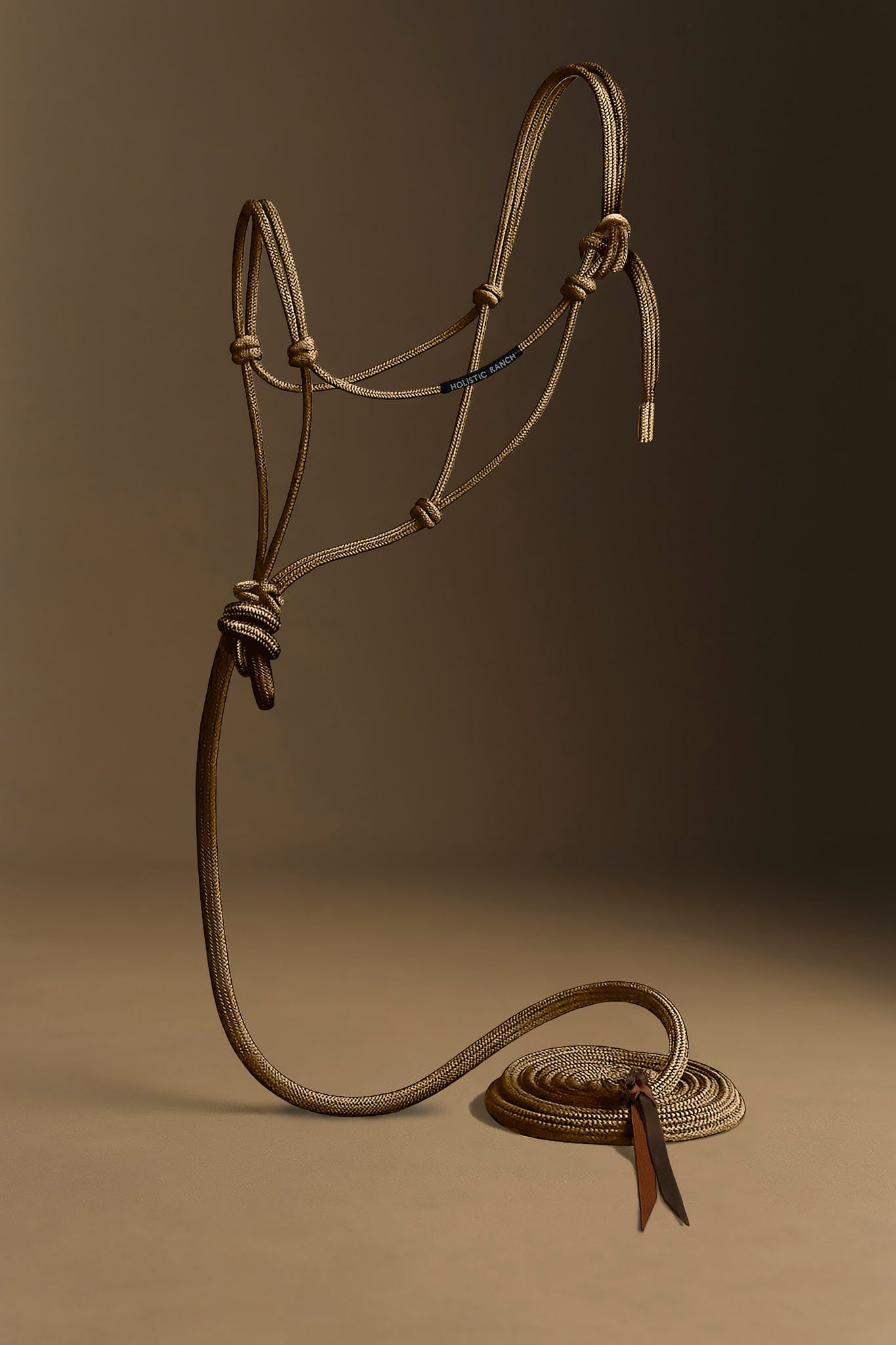 Gold Rope Halter and Lead